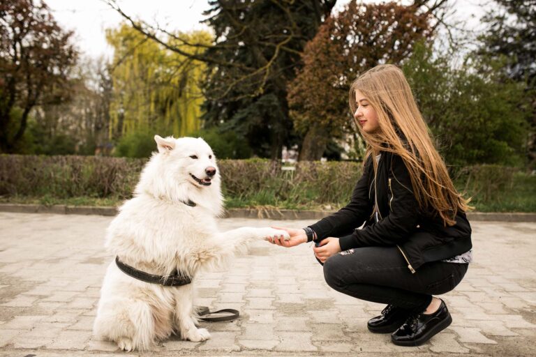 Hund liest Mensch: Was Dein Hund über Dich weiß – und was das mit Führung zu tun hat